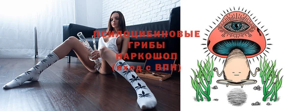 ПСИЛОЦИБИНОВЫЕ ГРИБЫ Армянск