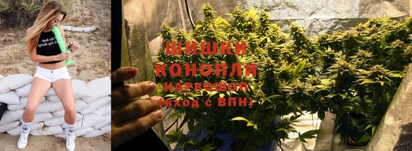 ПСИЛОЦИБИНОВЫЕ ГРИБЫ Армянск