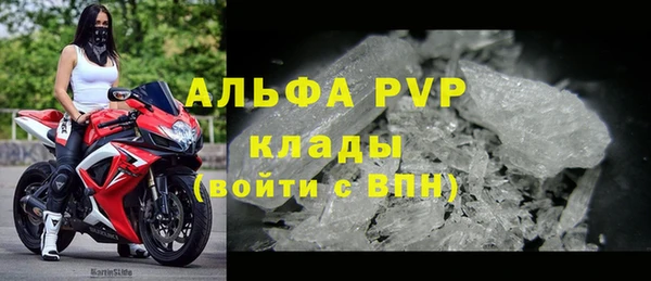 spice Аркадак