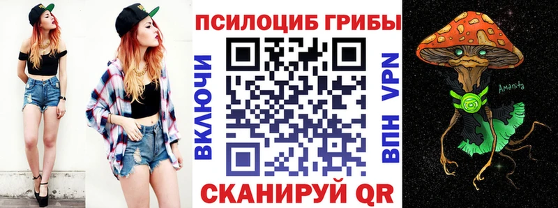 как найти наркотики  даркнет наркотические препараты  Псилоцибиновые грибы ЛСД  Плавск 